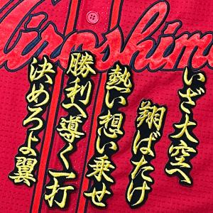 ☆送料無料☆東京 ヤクルト スワローズ 荘司宏太 ネーム 白 刺繍