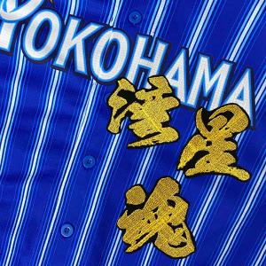☆送料無料☆東京 ヤクルト スワローズ オスナ 応援歌 黒 刺繍