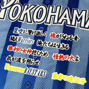 ☆送料無料☆東京 ヤクルト スワローズ 内山壮真 応援歌 白 刺繍