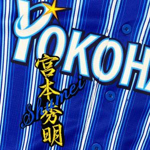 ☆送料無料☆東京 ヤクルト スワローズ 山田哲人 応援歌 白布 刺繍