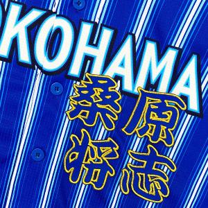 ☆送料無料☆横浜 DeNA ベイスターズ 成瀬脩人 短冊 応援 刺繍