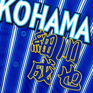 ☆送料無料☆横浜 DeNA ベイスターズ 成瀬脩人 ネーム 白 応援 刺繍