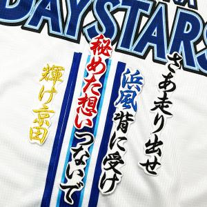 納期注意【横浜 DeNA ベイスターズ 刺繍ワッペン 3点セット