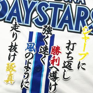 ☆送料無料☆横浜 DeNA ベイスターズ 石上泰輝 サイン 黒 応援 刺繍