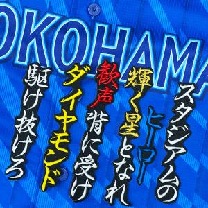 ☆送料無料☆横浜 DeNA ベイスターズ 度会隆輝 シルエット 応援 刺繍