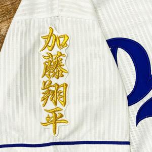 ☆送料無料☆中日 ドラゴンズ 細川成也 背番号 & 毛筆 ビジター 応援