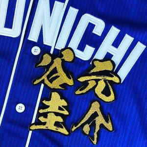 ☆送料無料☆中日 ドラゴンズ 石伊雄太 ネーム 2 白布 応援 刺繍