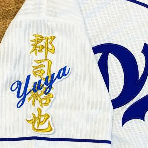 メール便送料無料】中日 ドラゴンズ 刺繍ワッペン カリステ 応援歌