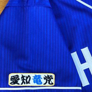 ☆送料無料☆東京 ヤクルト スワローズ 山田哲人 応援歌 白布 刺繍
