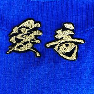 ☆送料無料☆阪神 タイガース 高寺望夢 応援歌 金/黒 刺繍 ワッペン
