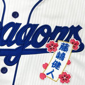 ☆送料無料☆東京 読売 ジャイアンツ 巨人 長嶋茂雄 背番号 & 毛筆