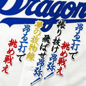 ☆送料無料☆読売 ジャイアンツ 巨人 大城卓三 背番号＆毛筆 応援 刺繍