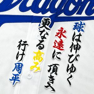 ☆送料無料☆東京 読売 ジャイアンツ 巨人 中山礼都 背番号 & 勘亭流