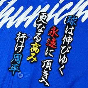 ☆送料無料☆東京 ヤクルト スワローズ 内山壮真 応援歌 白 刺繍