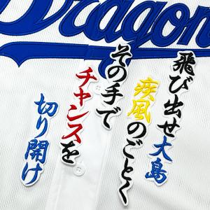 ☆送料無料☆中日 ドラゴンズ 岡林勇希 サイン 黒布 応援 刺繍