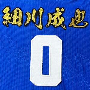 ☆送料無料☆中日 ドラゴンズ 細川成也 ネーム 4 応援 刺繍 ワッペン