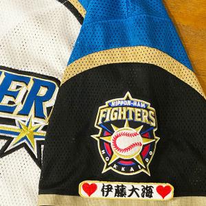 ☆送料無料☆阪神 タイガース 高寺望夢 ネーム 4 刺繍 ワッペン