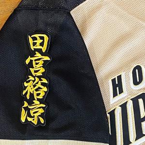 ☆送料無料☆北海道 日本ハム ファイターズ 日ハム 田宮裕涼 応援歌 白