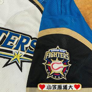 ☆送料無料☆北海道 日本ハム ファイターズ 日ハム 山縣秀 短冊 刺繍
