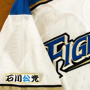 ☆送料無料☆北海道 日本ハム ファイターズ 日ハム 獅子奮迅 柴田獅子