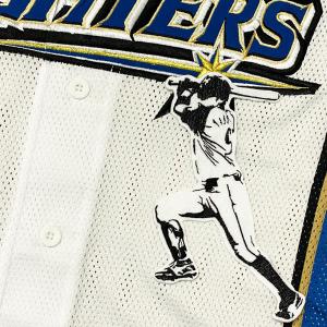 ☆送料無料☆読売 ジャイアンツ 巨人 吉川尚輝 背番号 & 毛筆 応援