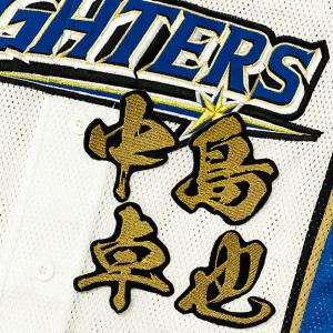☆送料無料☆東京 ヤクルト スワローズ 内山壮真 シルエット & ネーム