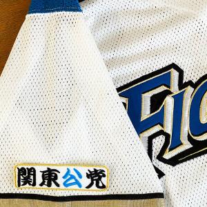 ☆送料無料☆北海道 日本ハム ファイターズ 日ハム 山縣秀 短冊 刺繍