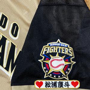 ☆送料無料☆阪神 タイガース 高寺望夢 背番号 & 毛筆 刺繍 ワッペン