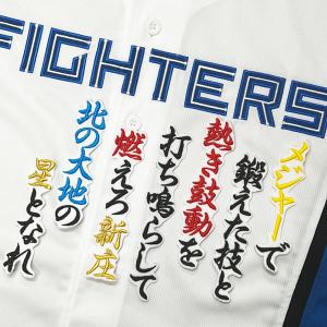 ☆送料無料☆北海道 日本ハム ファイターズ 日ハム 郡司裕也 応援歌 黒