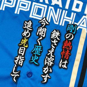 北海道日本ハムファイターズ 伏見寅威 ユニフォーム Mサイズ 伏見 寅威