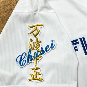 ☆送料無料☆北海道 日本ハム ファイターズ 日ハム 山崎福也 ☆送料無料☆北海道 日本ハム ファイターズ 日ハム 山崎福也