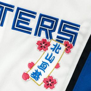 ☆送料無料☆阪神 タイガース 岡城快生 ネーム 白 刺繍 ワッペン