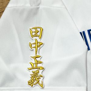 ☆送料無料☆千葉 ロッテ マリー ンズ 毛利海大 ネーム 白 応援 刺繍