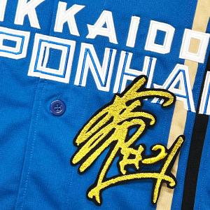 北海道日本ハムファイターズ 刺繍ワッペン HOKKAIDO 公 (H-0009 北海道日本ハムファイターズ 刺繍ワッペン HOKKAIDO 公 (H-0009