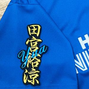 ★送料無料★北海道　日本ハム　ファイターズ　日ハム　田宮裕涼　ネーム　黒　刺繍　ワッペン　応援　ユニフォーム