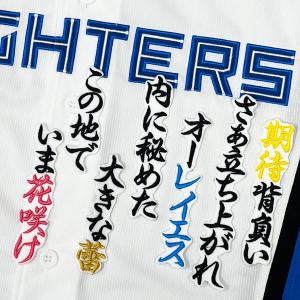 ☆送料無料☆北海道 日本ハム ファイターズ 日ハム 田宮裕涼 ☆送料無料☆北海道 日本ハム ファイターズ 日ハム 田宮裕涼
