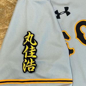 ☆送料無料☆東京 ヤクルト スワローズ つば九郎 短冊 刺繍 ワッペン