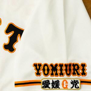 ☆送料無料☆東京 ヤクルト スワローズ つば九郎 シルエット 2 刺繍