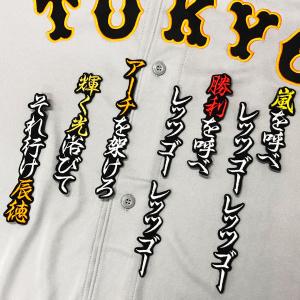 ☆送料無料☆東京 読売 ジャイアンツ 巨人 竹丸和幸 シルエット
