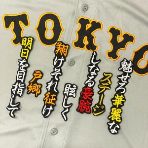 ☆送料無料☆東京 読売 ジャイアンツ 巨人 松本剛 背番号 & 毛筆 刺繍