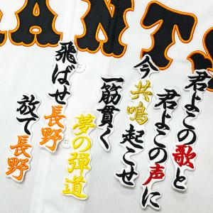 ☆送料無料☆東京 読売 ジャイアンツ 巨人 長野久義 背番号 & 毛筆
