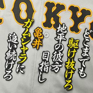 ☆送料無料☆東京 読売 ジャイアンツ 巨人 中川皓太 ネーム 黒布 ☆送料無料☆東京 読売 ジャイアンツ 巨人 中川皓太 ネーム 黒布
