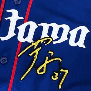 ☆送料無料☆埼玉 西武 ライオンズ 松井稼頭央 ネーム 白布 応援 刺繍