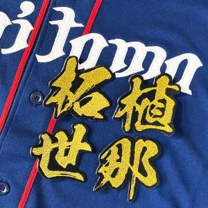 ☆送料無料☆埼玉 西武 ライオンズ 栗山巧 シルエット 2&サイン 応援