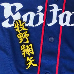 ☆送料無料☆埼玉 西武 ライオンズ 平沢大河 ネーム 4 応援 刺繍