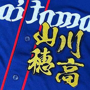 ☆送料無料☆東京 読売 ジャイアンツ 巨人 キラキラ 星 黒布 応援 刺繍