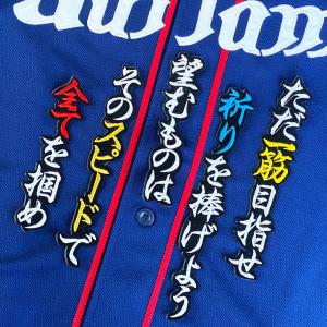 ☆送料無料☆埼玉 西武 ライオンズ 栗山巧 応援歌 白布 刺繍 ワッペン