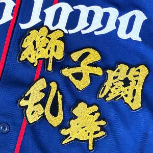 ☆送料無料☆千葉 ロッテ マリー ンズ 寺地隆成 シルエット 応援 刺繍