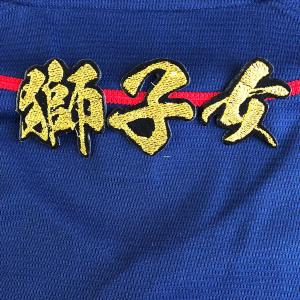 ☆送料無料☆埼玉 西武 ライオンズ 桑原将志 ネーム 袖 応援 刺繍