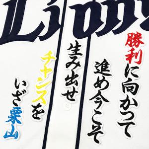 日本ハムファイターズ　レイエス 応援歌付きユニフォーム Sサイズ ☆送料無料☆北海道 日本ハム ファイターズ 日ハム レイエス 応援歌 白